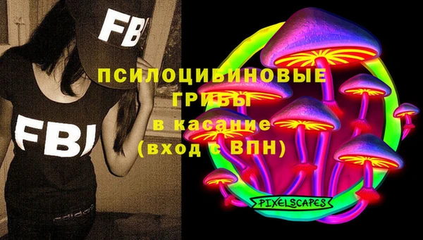 стаф Алексин