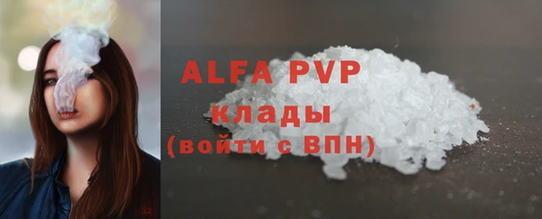 стаф Алексин