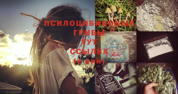 стаф Алексин