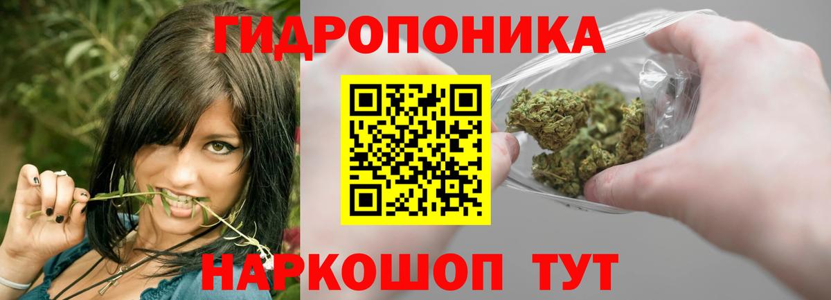 Канабис MAZAR Ачинск